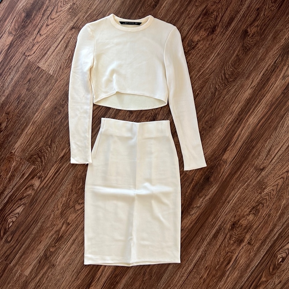 Zara 2 Piece Crop Top and Pencil Skirt